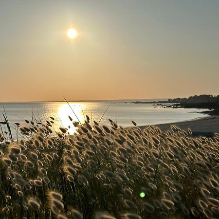 Les Suites De Bougainville Concarneau Luaran gambar