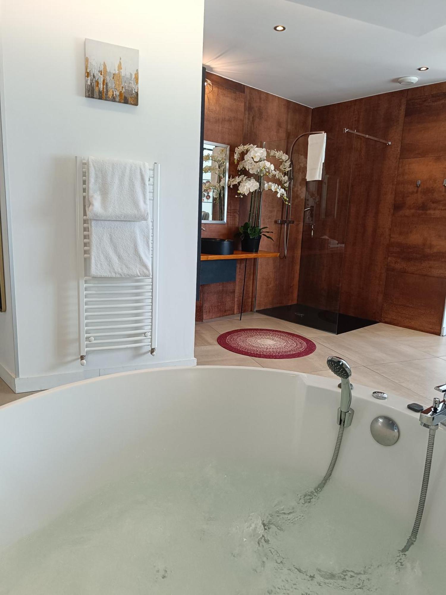 Les Suites De Bougainville Concarneau Luaran gambar