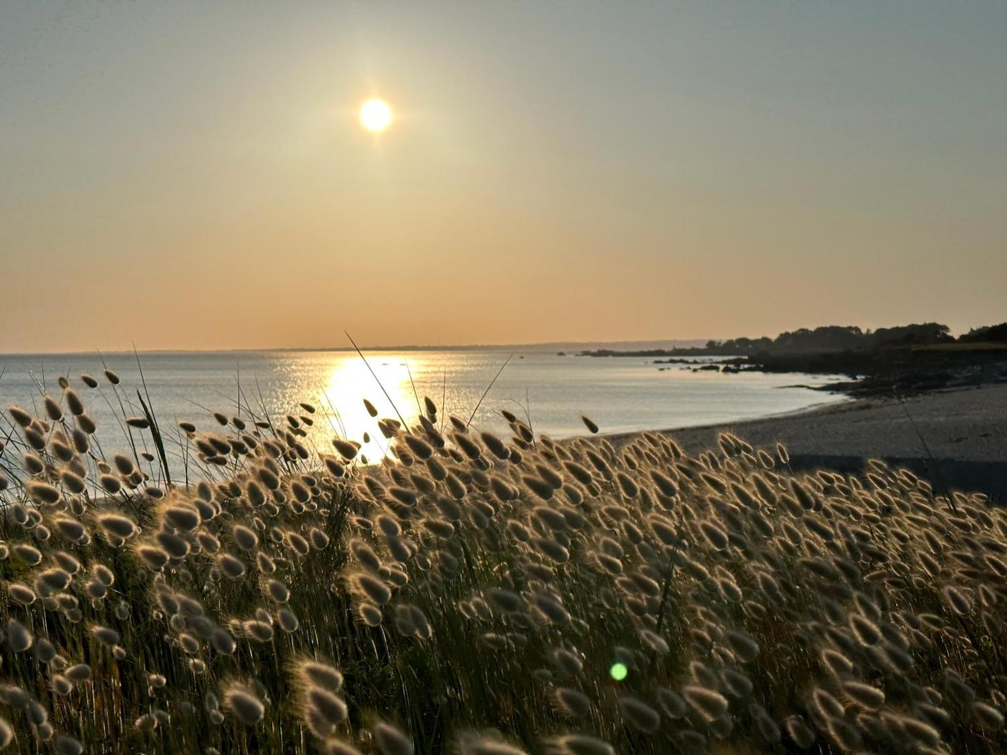 Les Suites De Bougainville Concarneau Luaran gambar